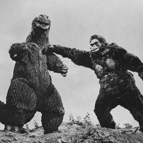 godzilla and kong | image tagged in godzilla and kong | made w/ Imgflip meme maker
