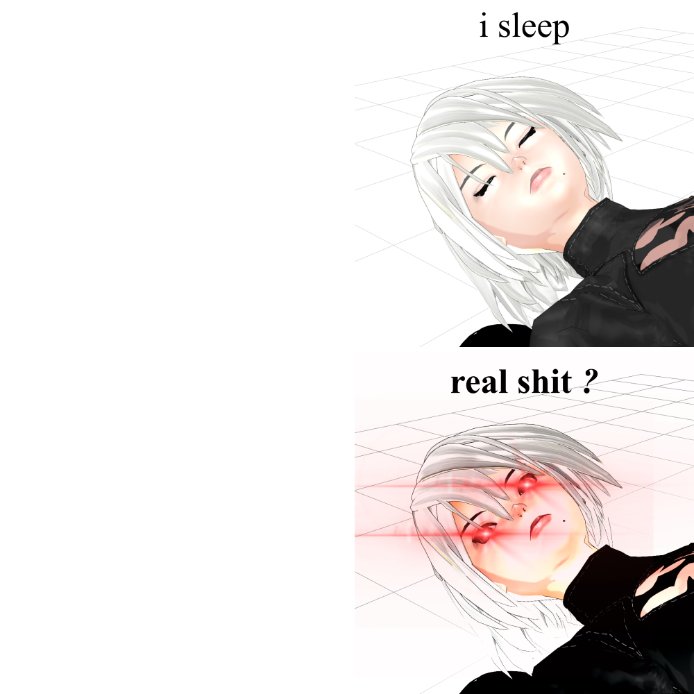 Sleeping 2B Blank Meme Template