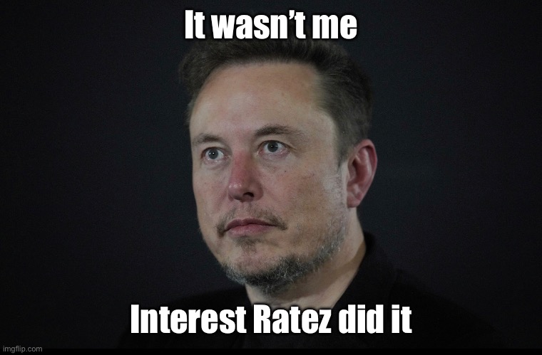Elon blames everything on Interest Rates | It wasn’t me; Interest Ratez did it | image tagged in elon musk,tesla,stonks | made w/ Imgflip meme maker
