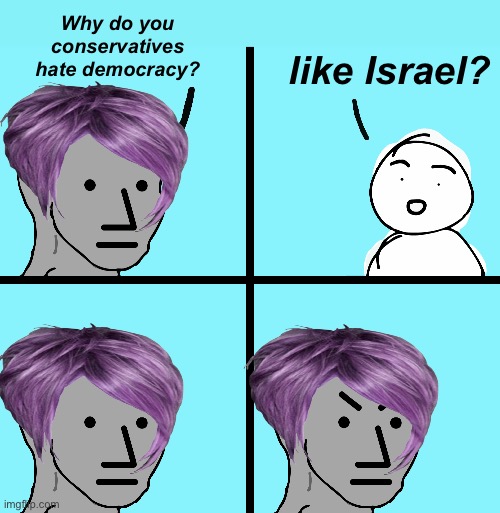 Progressives really don’t care for democracy | Why do you conservatives hate democracy? like Israel? | image tagged in npc angry meme,politics lol,memes | made w/ Imgflip meme maker