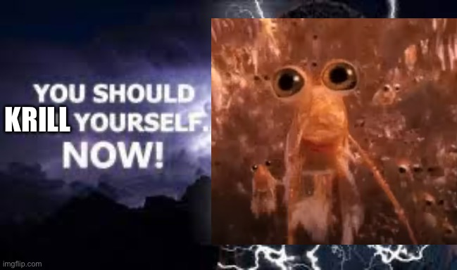 You Should Kill Yourself NOW! | KRILL | image tagged in you should kill yourself now | made w/ Imgflip meme maker