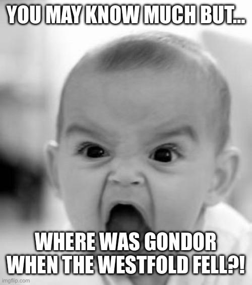 Angry Baby Meme | YOU MAY KNOW MUCH BUT…; WHERE WAS GONDOR WHEN THE WESTFOLD FELL?! | image tagged in memes,angry baby | made w/ Imgflip meme maker