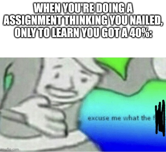 Frfr | WHEN YOU'RE DOING A ASSIGNMENT THINKING YOU NAILED, ONLY TO LEARN YOU GOT A 40%: | image tagged in excuse me wtf blank template | made w/ Imgflip meme maker