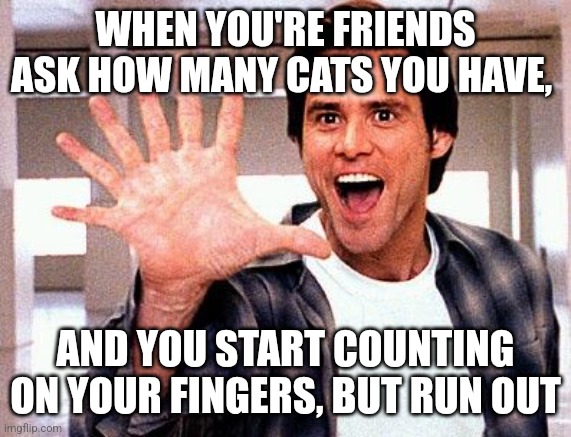 Thanks, AI | WHEN YOU'RE FRIENDS ASK HOW MANY CATS YOU HAVE, AND YOU START COUNTING ON YOUR FINGERS, BUT RUN OUT | image tagged in seven fingers bruce,chatgpt,cats,so many cats,how many,funny memes | made w/ Imgflip meme maker