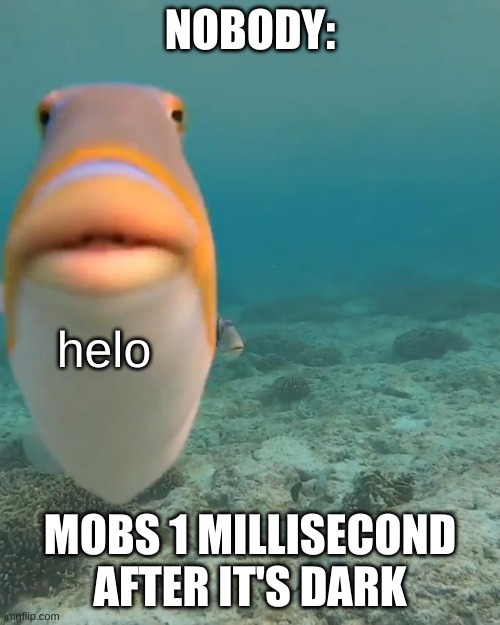 staring fish | NOBODY:; helo; MOBS 1 MILLISECOND AFTER IT'S DARK | image tagged in staring fish | made w/ Imgflip meme maker