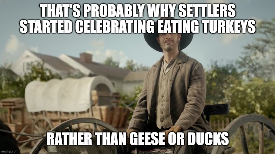 The Settlers | THAT'S PROBABLY WHY SETTLERS STARTED CELEBRATING EATING TURKEYS RATHER THAN GEESE OR DUCKS | image tagged in the settlers | made w/ Imgflip meme maker