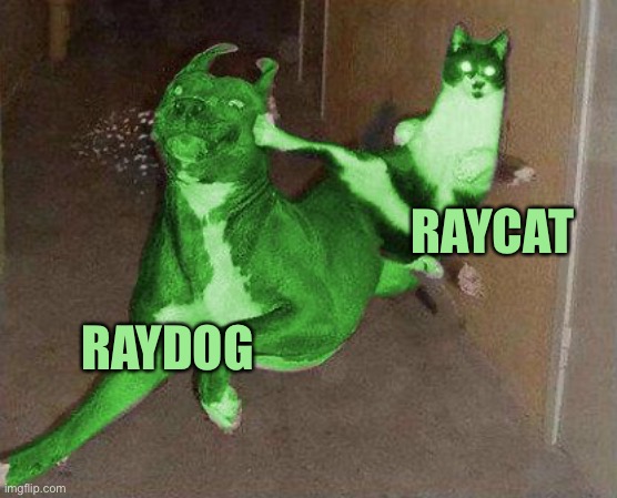 RayCat kicking RayDog | RAYDOG RAYCAT | image tagged in raycat kicking raydog | made w/ Imgflip meme maker