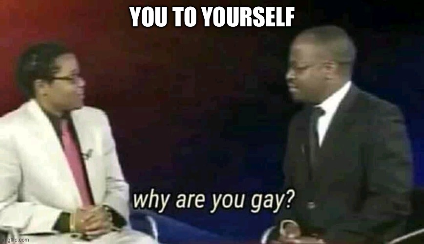 Why are you gay? | YOU TO YOURSELF | image tagged in why are you gay | made w/ Imgflip meme maker