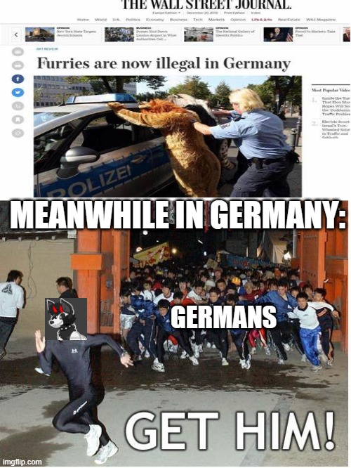 Get him! | MEANWHILE IN GERMANY:; GERMANS | image tagged in get him | made w/ Imgflip meme maker