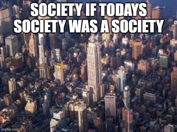 the aggregate of people living together in a more or less ordered community. | SOCIETY IF TODAYS SOCIETY WAS A SOCIETY | image tagged in society,city | made w/ Imgflip meme maker
