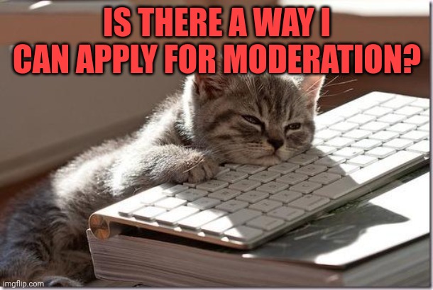 Bored Keyboard Cat | IS THERE A WAY I CAN APPLY FOR MODERATION? | image tagged in bored keyboard cat | made w/ Imgflip meme maker