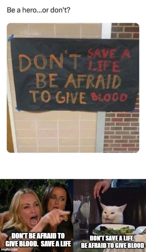 DON'T BE AFRAID TO GIVE BLOOD.  SAVE A LIFE; DON'T SAVE A LIFE.  BE AFRAID TO GIVE BLOOD | image tagged in memes,woman yelling at cat | made w/ Imgflip meme maker