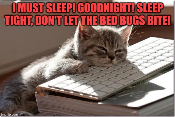 Bored Keyboard Cat | I MUST SLEEP! GOODNIGHT! SLEEP TIGHT, DON'T LET THE BED BUGS BITE! | image tagged in bored keyboard cat | made w/ Imgflip meme maker
