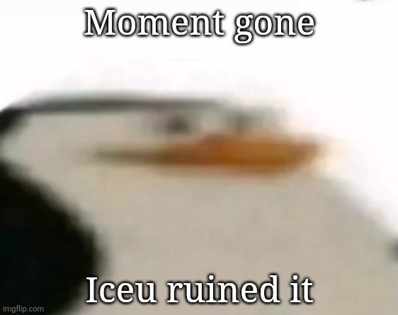 Moment gone. Private ruined it | Moment gone Iceu ruined it | image tagged in skipper | made w/ Imgflip meme maker