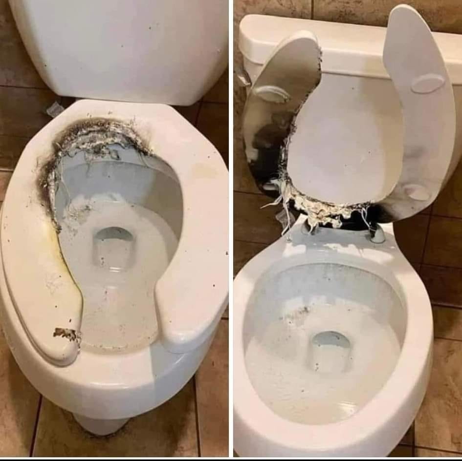 roasted toilet Blank Meme Template