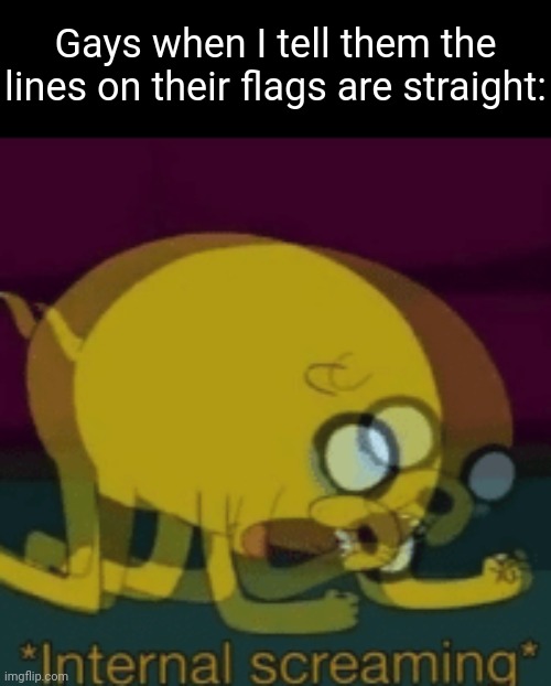 Gottem | Gays when I tell them the lines on their flags are straight: | image tagged in jake the dog internal screaming | made w/ Imgflip meme maker