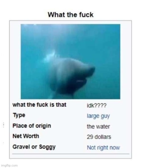 made w/ Imgflip meme maker