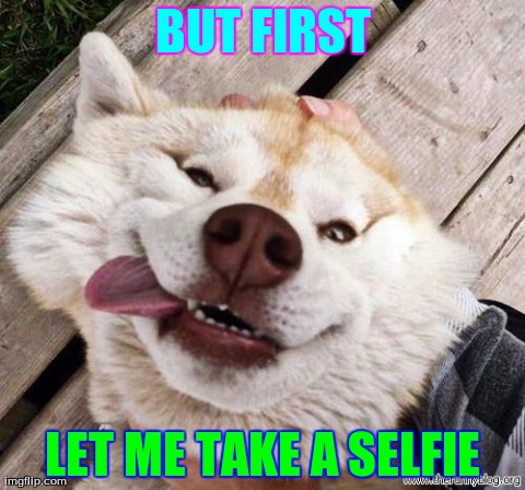 BUT FIRST LET ME TAKE A SELFIE | image tagged in funny,animals,dogs | made w/ Imgflip meme maker