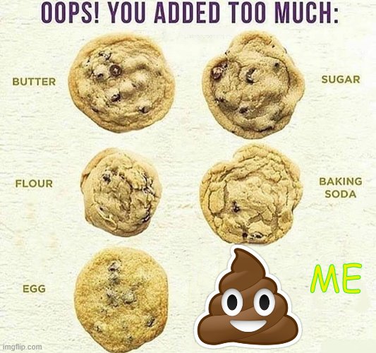 Oops, You Added Too Much | ME | image tagged in oops you added too much | made w/ Imgflip meme maker