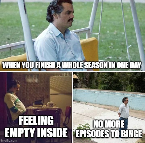 . | WHEN YOU FINISH A WHOLE SEASON IN ONE DAY; FEELING EMPTY INSIDE; NO MORE EPISODES TO BINGE | image tagged in memes,sad pablo escobar | made w/ Imgflip meme maker