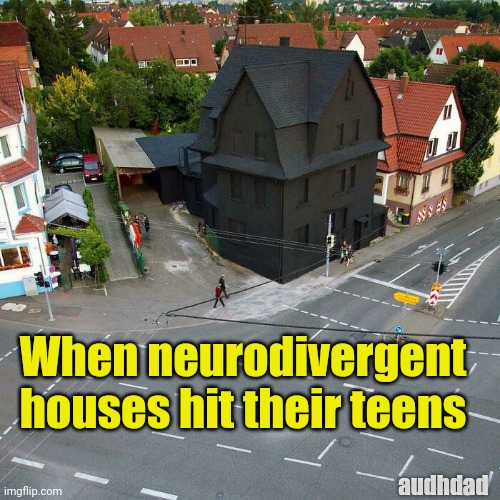 The black house | When neurodivergent houses hit their teens; audhdad | image tagged in the black house,memes,teenagers,autism,adhd,audhd | made w/ Imgflip meme maker