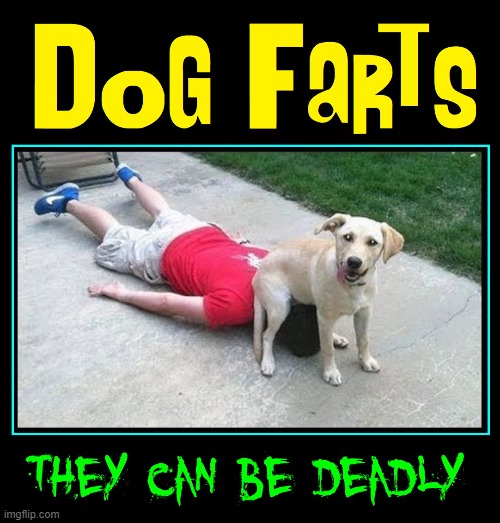 WARNING! | image tagged in vince vance,dogs,farts,deadly,memes,cartoons | made w/ Imgflip meme maker