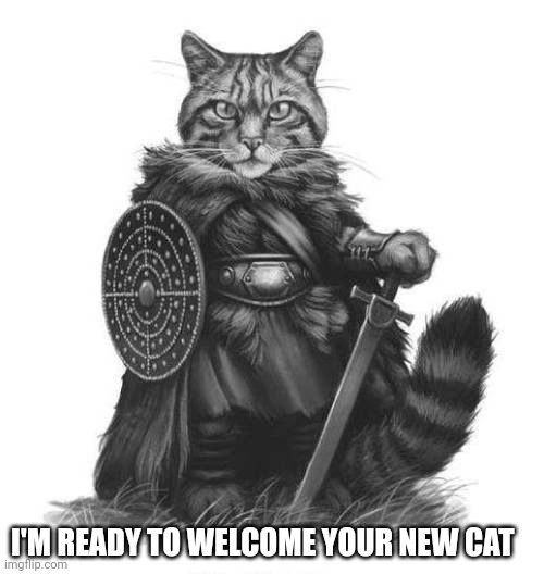 Highland gardener | I'M READY TO WELCOME YOUR NEW CAT | image tagged in highland gardener | made w/ Imgflip meme maker