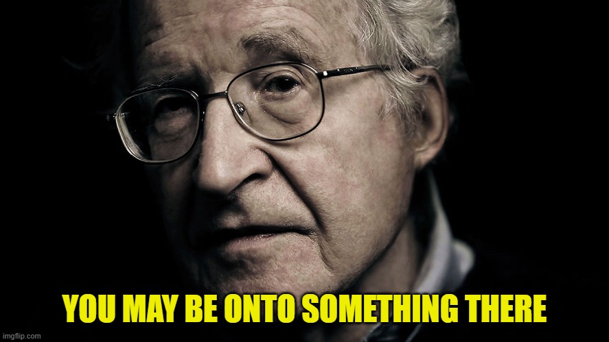 Noam Chomsky | YOU MAY BE ONTO SOMETHING THERE | image tagged in noam chomsky | made w/ Imgflip meme maker