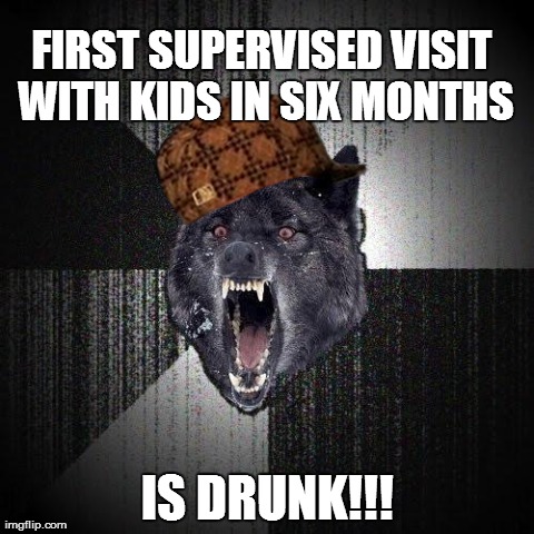 Insanity Wolf Meme | FIRST SUPERVISED VISIT WITH KIDS IN SIX MONTHS IS DRUNK!!! | image tagged in memes,insanity wolf,scumbag,AdviceAnimals | made w/ Imgflip meme maker