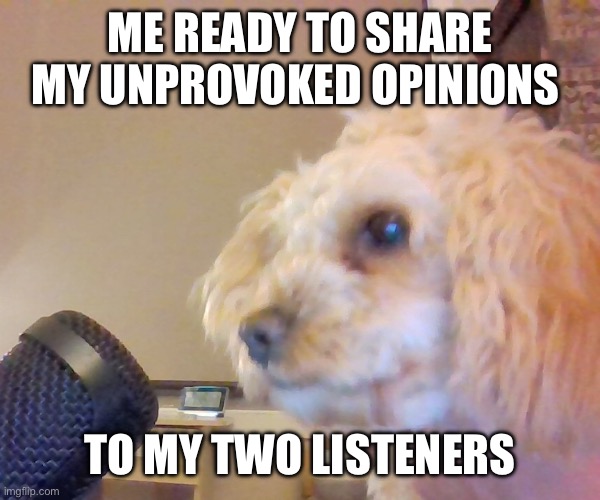 Keen and serious podcaster | ME READY TO SHARE MY UNPROVOKED OPINIONS; TO MY TWO LISTENERS | image tagged in flashbang dog | made w/ Imgflip meme maker