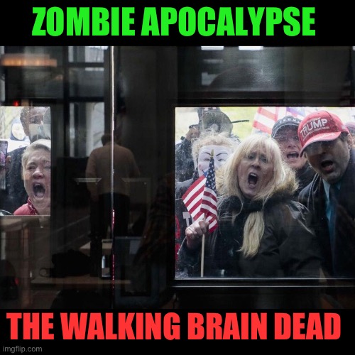 Trump Michigan Protesters | ZOMBIE APOCALYPSE; THE WALKING BRAIN DEAD | image tagged in trump michigan protesters | made w/ Imgflip meme maker