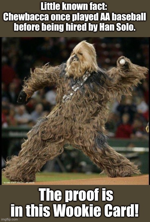 Wookie | Little known fact:  Chewbacca once played AA baseball before being hired by Han Solo. The proof is in this Wookie Card! | image tagged in bad pun | made w/ Imgflip meme maker