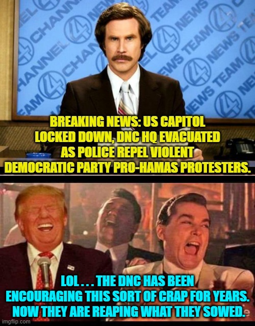 Congratulations Democratic National Committee.  You have received Karma. | LOL . . . THE DNC HAS BEEN ENCOURAGING THIS SORT OF CRAP FOR YEARS.  NOW THEY ARE REAPING WHAT THEY SOWED. | image tagged in truth | made w/ Imgflip meme maker