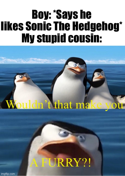 Yes, he is like this. | Boy: *Says he likes Sonic The Hedgehog*
My stupid cousin:; Wouldn’t that make you; A FURRY?! | image tagged in wouldn't that make you | made w/ Imgflip meme maker