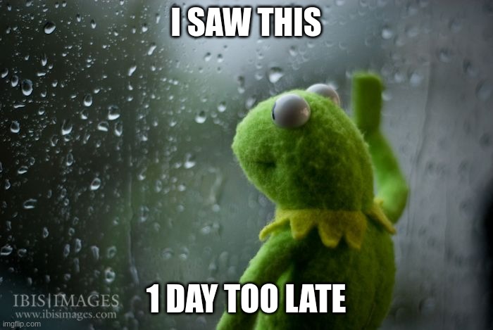 kermit window | I SAW THIS 1 DAY TOO LATE | image tagged in kermit window | made w/ Imgflip meme maker
