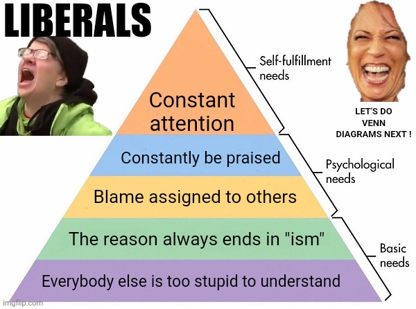 Maslow's Hierarchy of Needs | Constant attention Constantly be praised Blame assigned to others The reason always ends in "ism" Everybody else is too stupid to understand | image tagged in maslow's hierarchy of needs | made w/ Imgflip meme maker