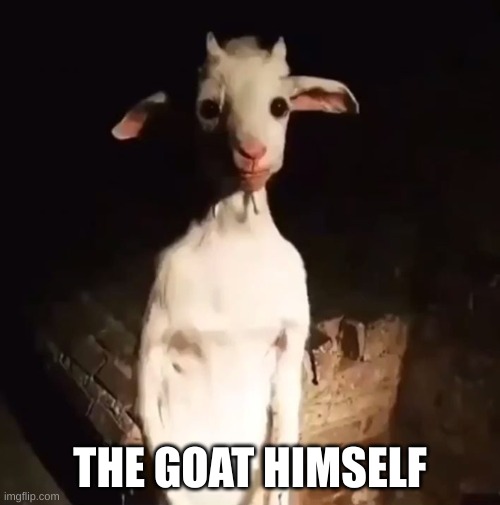 It's him | THE GOAT HIMSELF | image tagged in standing goat | made w/ Imgflip meme maker