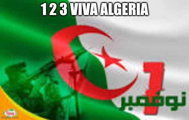 123 | 1 2 3 VIVA ALGERIA | image tagged in 1 november 1954 is algeria | made w/ Imgflip meme maker