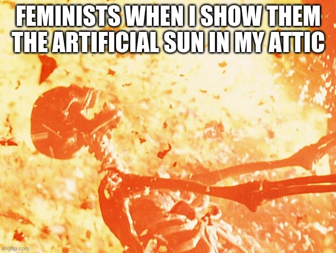 Fire skeleton | FEMINISTS WHEN I SHOW THEM THE ARTIFICIAL SUN IN MY ATTIC | image tagged in fire skeleton,relatable,funny,memes,im coming after you | made w/ Imgflip meme maker