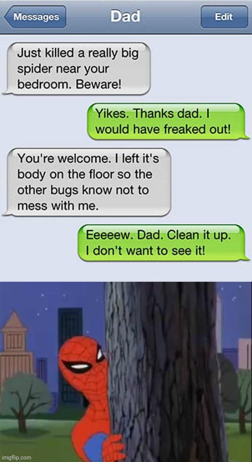 Spider | image tagged in spiderman tree,spiderman curious,spider,text messages,memes,spiders | made w/ Imgflip meme maker
