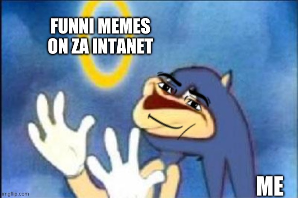 Sonic derp | FUNNI MEMES ON ZA INTANET; ME | image tagged in sonic derp | made w/ Imgflip meme maker