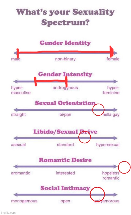 Makes sense :3 | image tagged in what's your sexuality spectrum,gender-fluid,gay,lgbtq | made w/ Imgflip meme maker