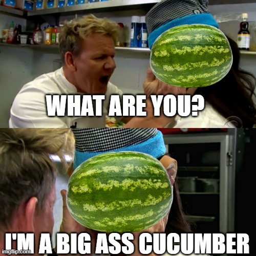 Gordon Ramsay Idiot Sandwich | WHAT ARE YOU? I'M A BIG ASS CUCUMBER | image tagged in gordon ramsay idiot sandwich | made w/ Imgflip meme maker