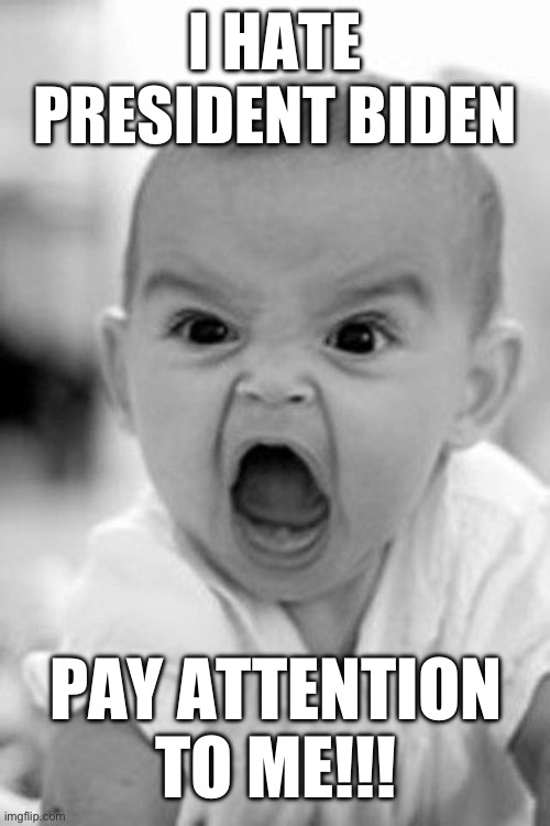 Pissed off Maga | I HATE PRESIDENT BIDEN; PAY ATTENTION TO ME!!! | image tagged in baby screaming | made w/ Imgflip meme maker