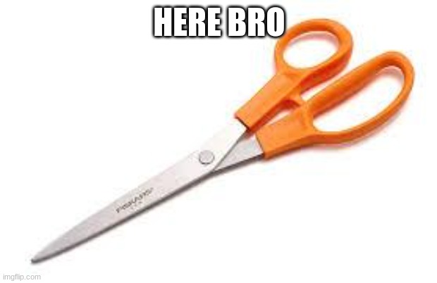 Scumbag Scissors | HERE BRO | image tagged in scumbag scissors | made w/ Imgflip meme maker