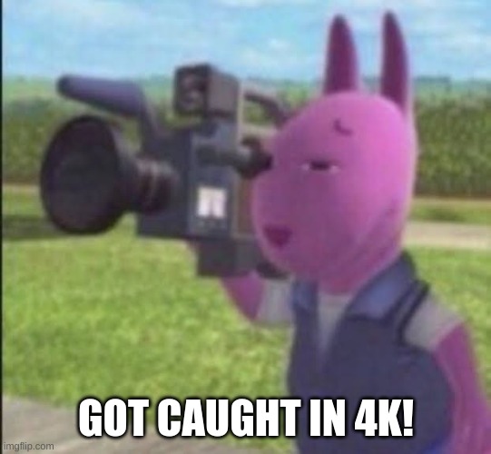 Caught in 4k | GOT CAUGHT IN 4K! | image tagged in caught in 4k | made w/ Imgflip meme maker