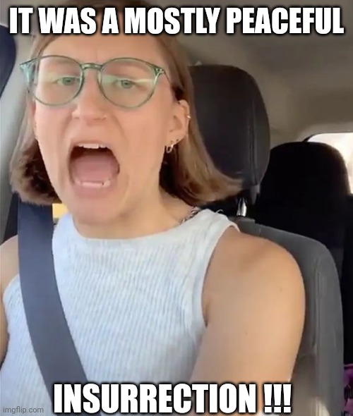 Unhinged Liberal Lunatic Idiot Woman Meltdown Screaming in Car | IT WAS A MOSTLY PEACEFUL INSURRECTION !!! | image tagged in unhinged liberal lunatic idiot woman meltdown screaming in car | made w/ Imgflip meme maker