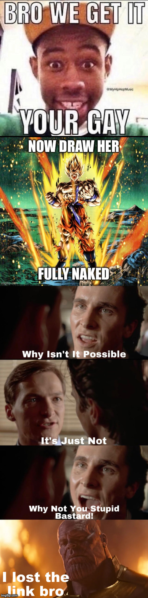 image tagged in bro we get it you're gay,now draw her fully naked,why isn't it possible,i lost the link bro | made w/ Imgflip meme maker