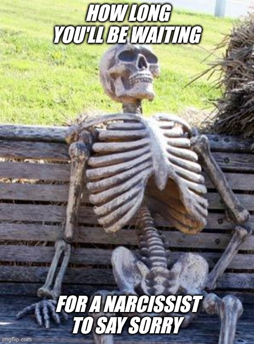 Narcissist | HOW LONG YOU'LL BE WAITING; FOR A NARCISSIST TO SAY SORRY | image tagged in memes,waiting skeleton | made w/ Imgflip meme maker