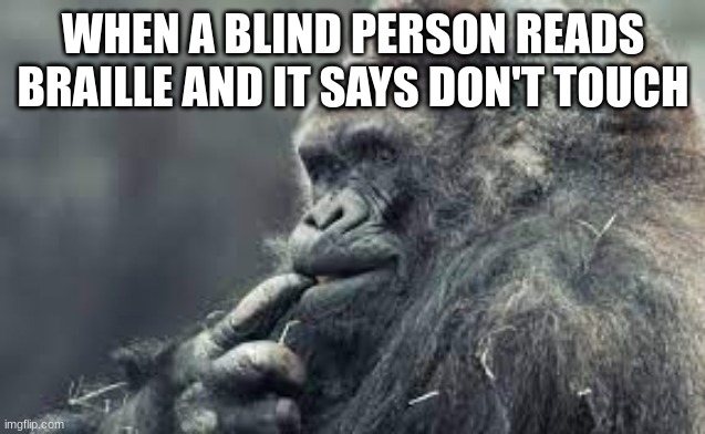 mistake | WHEN A BLIND PERSON READS BRAILLE AND IT SAYS DON'T TOUCH | image tagged in mistake | made w/ Imgflip meme maker